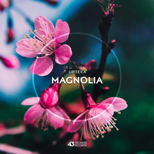 Upteka - Magnolia [43D055]